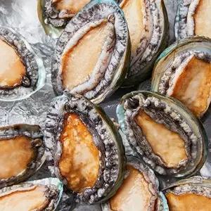 [청정바다엔] 특대 완도전복 1kg 9-10미 (완도직송,산소포장)