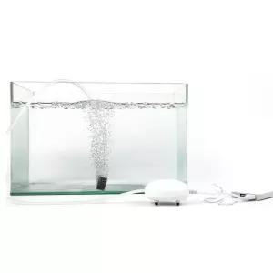 [마이모노샵][마이모노샵] 낚시 이동 신선보존 계란형 달걀형 미니 차량용 usb 기포기 (17170238)