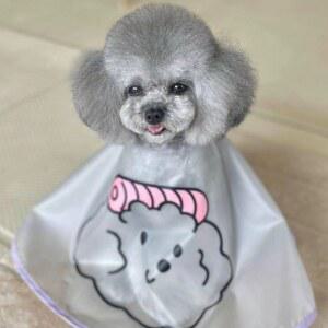 강아지 방수 턱받이 애완견 생일 반려견케이프 마가렛 강아지스카프 우비 포인트 인디언패턴