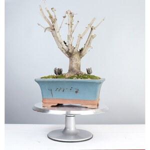 분재 손질 테이블 가드닝 분갈이 도예 조경다이 가로 플래트 받침대 콘솔 원예 식물