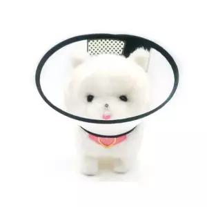 반려묘넥 보호대 목 애완동물 중형 반려동물목카라 넥카라