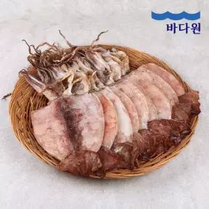 [바다원] 촉촉한 원양산 반건조오징어 5미 (400g 내외)