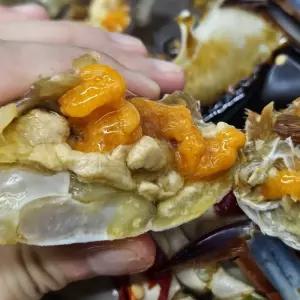 국내산 냉동 암꽃게 1kg