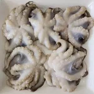 냉동 손질 쭈꾸미 350g 2팩