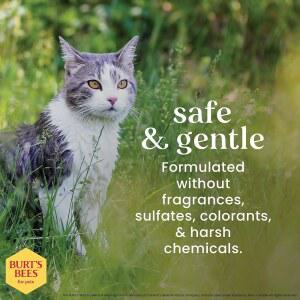 반려동물을 위한 무향 마찰을 탠더 목욕 카운트 부드러운 물티슈 버트의 귀리 사이의 알로에 도움 그루밍 고양이 가루 리무버 고양이와 줄이는 50 콜로이드