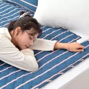 프리미엄/카본/탄소매트/전기/온열매트/전기장판/안전난방/겨울용/싱글매트/D/전기매트/탄소온열매트/전기카본매트/학교