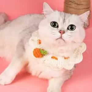 오렌지뜨개애견케이프 진주뜨개레이스애견스카프-WD4416B