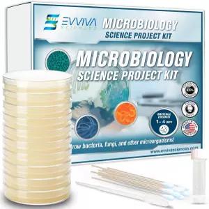 Evviva Sciences 미생물학 과학 프로젝트 키트 학생용 미리 부어둔 한천 플레이트 학습을 위한 페트리 접시