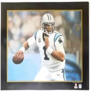 빅토리 파인 아트 캠 뉴턴 팬더스 리토그래프 슈퍼볼 아티스트 롭 잭슨 - 오리지널 NFL 앤 프린트