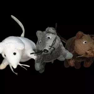 쥐 봉제 인형 성인용 생쥐 고시그무스 장식용