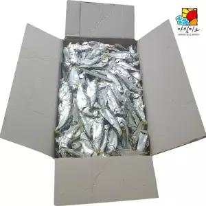 아침미소 디포리 1.5kg 특 국내산 스마트 하니