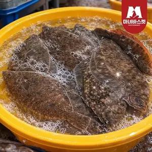 [마녀바스켓]국내산 동해안 손질 참가자미 알배기 가자미(대-중) 550g (2~3미)