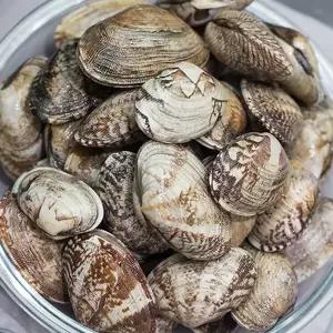 [지투지샵]국내산 바지락 2kg