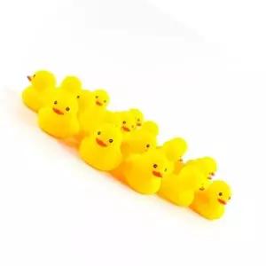 ( )오리 미니 삑삑이 노란 물놀이 재미있는 귀여운 (18개세트)