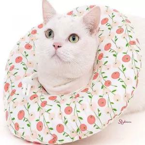 첩장 넥카라 반려견 닥터목쿠션 고양이lmn442