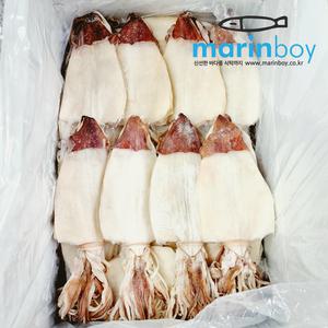 마린보이 AAA급 한치 1kg L(대) 20마리내외 마른한치 부드럽고 쫄깃한 건한치