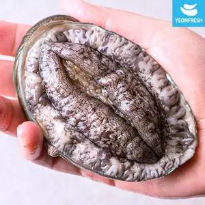 [NS홈쇼핑]완도활전복 특특大 1kg 9-10미(미당100g내외) [산소팩, 무료배송]..[33822390]