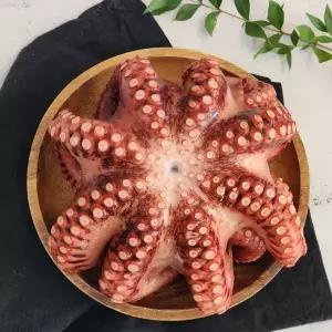 A급 자숙 문어 1마리 900g급 원물 1.1~1.3kg급