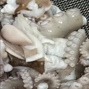 국산 목포세발낙지 신안 무안 뻘낙지 산낙지, 특대낙지(3마리)