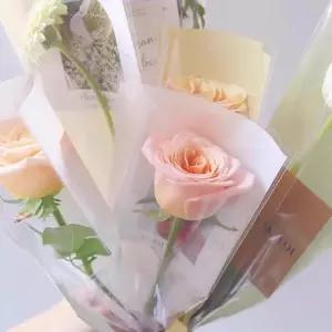 플로드지 한송이 비닐 꽃 포장 포장지 50매 꽃다발