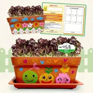 나만의 채소밭 만들기 상추 관찰기록지포함/늘봄/키우기/식물/심기/베란다/텃밭/화분/키트/기르기/씨앗