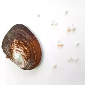 리얼 DIY 만들기 체험 이색 진주조개 키트 귀걸이