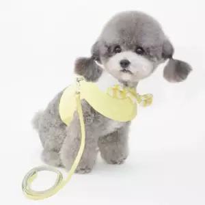 애견의류 외출 강아지옷 유치원하네스 줄 세트 S-XL