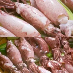 통째먹는 총알 한치 캠핑 술안주 손질 한치회 100마리