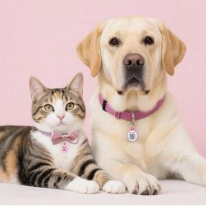 누구의 아이디 칼라 실리콘 코드 QR ID 품종 작은 조용한 징징 없음 프로필 고양이 수정 연락처 장미 가능한 온라인 반려동물 태그 액세서리 비상 페이지 태그 가벼운 다중