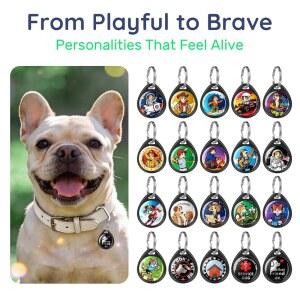 QR 코드 업데이트 뛰어나며 DJ와 방수 캐릭터 통해 파티 재회합니다 정보 고양이 내구성이 가볍고 가능한 디자인 조용하며 스캔을 블랙 빠르고 반려동물 사로잡는 연락처 눈길을 태그 태그와