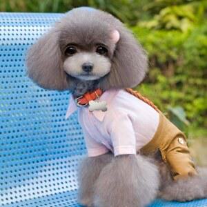 카카부쿠 30개 애완동물 38MM 맞춤형 이름 포함 ID 열쇠고리 개인 태그 전화번호 고양이용 펜던트 모양 알루미늄 고양이