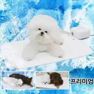 초코펫 강아지 쿨매트 방석 듀라론 아이스 쿨매트 에어쿨러포함 프리미엄