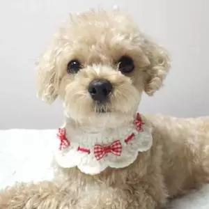 체크리본뜨개애견케이프 리본레이스애견케이프-WD44169