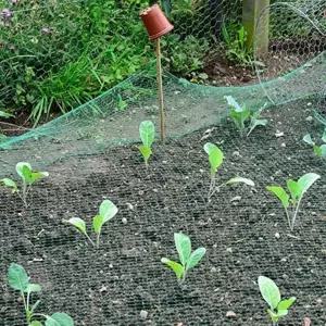 ( )참새그물 그물망 방조망 RD-11972 새 보호 2x10m 그물 농작물 새그물망