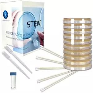 과학 실험을 위해 박테리아를 키우세요. STEM 교육. 미리 부어둔 한천 접시(100mm)와 면봉. 전자책 이용