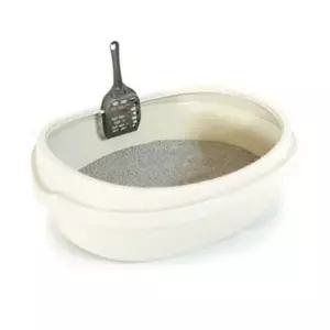 아이보리 즐똥 모래 펫투비 집사 대형 캣용품 반려묘 애묘