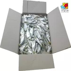 SM 아침미소 디포리 1.5kg 국내산 스마트 하니