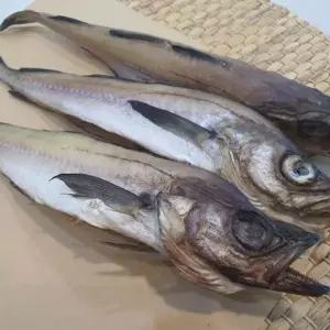 명태 코다리 1미 스마트 하니