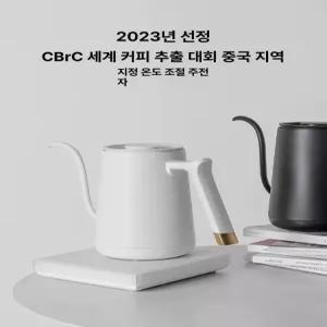 스마트피쉬 핸드드립 전기포트 드립커피 주파수 티포트 가정용 드립포트 보온 일반형