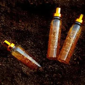 (3410)B 천종산삼배양근 골드 30P + 고급쇼핑백