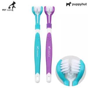 중소견용 미니칫솔 랜덤 쓰리