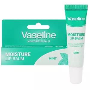 민트향 보습 립밤 촉촉 입술케어 12ml