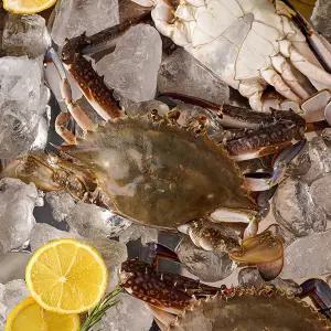 [롯데백화점]자연맛남 연평도 급냉 숫꽃게 1kg 중(kg당3-4미)