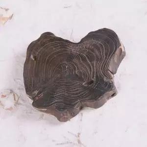 [콩심팥심]찻잔받침 선물 특이한 1개