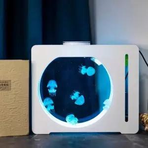 해파리 수조 물멍 관상어 사이즈 해파리키우기 거실 열대어