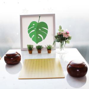 프로 바둑판 13줄+9줄 바둑판 입문자 교육용