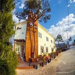 [전북 펜션] 정읍 브람스펜션 (정읍,부안,김제,고창)