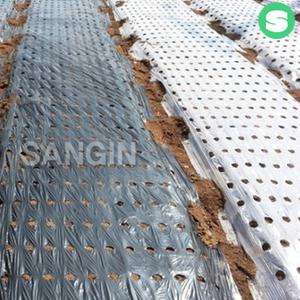 마늘양파비닐 유공 타공비닐 멀칭상인농자재