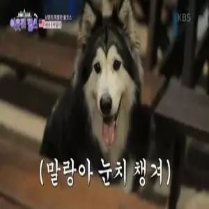 [제주/서귀포] 제주 조이하우스 독채펜션 (가족/독채/주차장/정원/포레스트뷰(산)/커플)