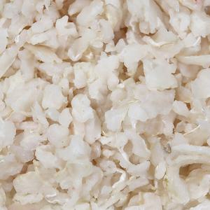 서해안 국산 아나고 세꼬시 250G 내외 초장 포함 회